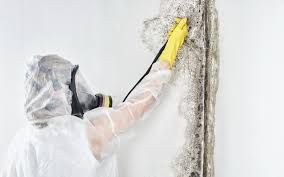 Glasgow Village, MO Mold Removal Company